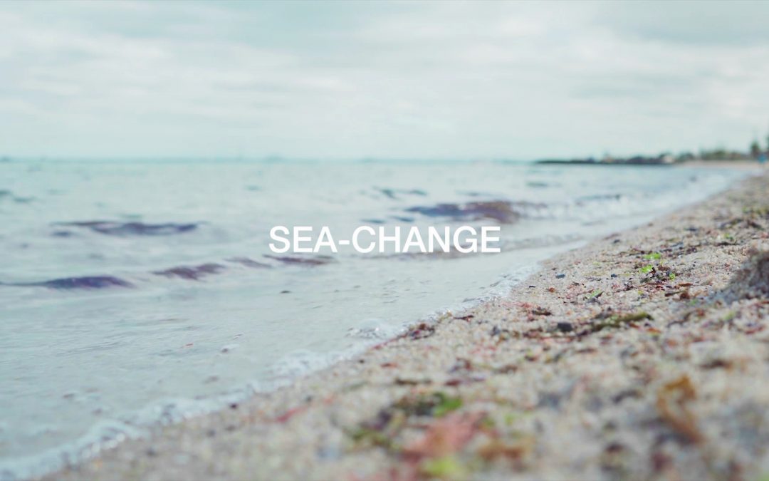 SEA-CHANGE by Penelope Davis