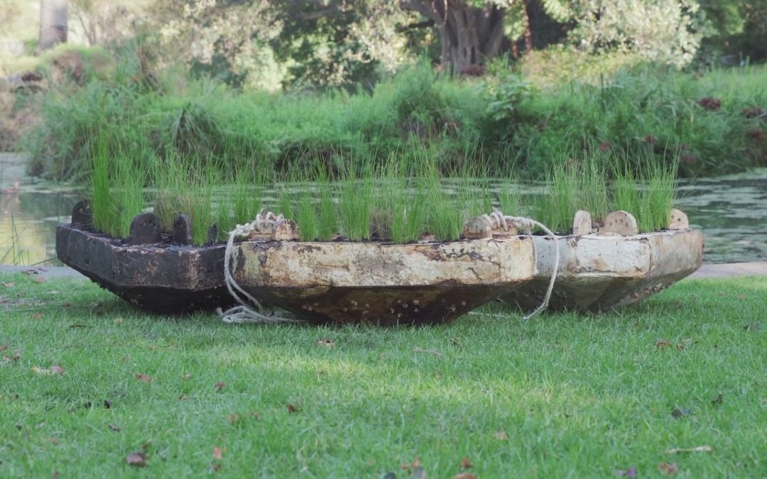 Mycelium floating wetlands